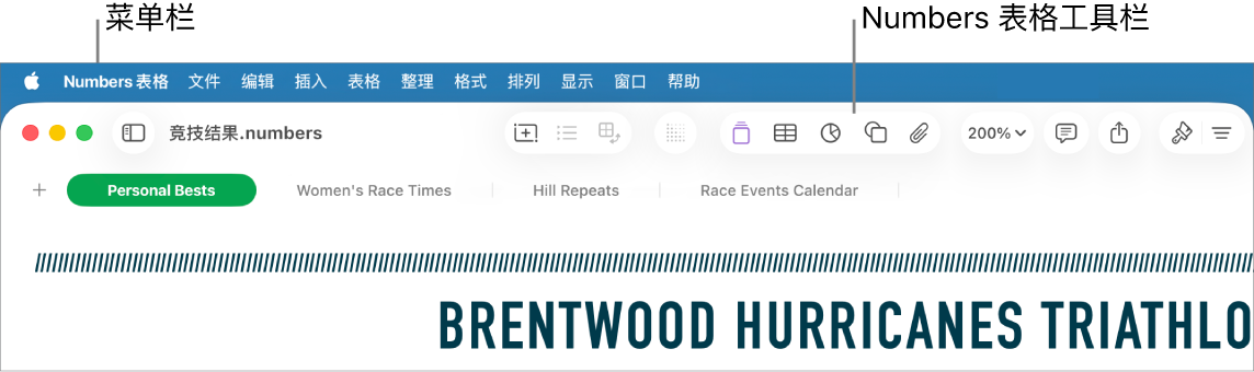 屏幕顶部的菜单栏包含苹果、“Numbers 表格”、“文件”、“编辑”、“插入”、“表格”、“整理”、“格式”、“排列”、“显示”、“窗口”和“帮助”菜单。菜单栏下方是打开的 Numbers 电子表格，顶部一排是工具栏按钮：显示、缩放、添加类别、数据透视表、插入、表格、图表和文本。