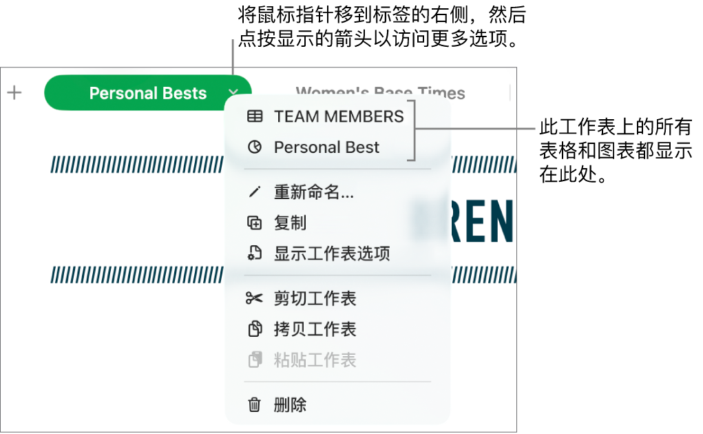 快捷键菜单已打开的电子表格标签，显示包括“复制”的选项。
