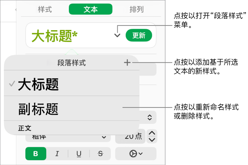 “段落样式”菜单,显示用于添加或更改样式的控制。