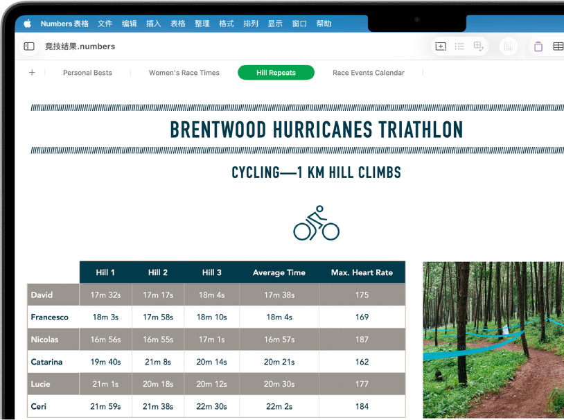 跟踪徒步信息的电子表格,屏幕顶部附近显示工作表名称。左侧是“添加工作表”按钮,其旁边是“徒步行程”、“海拔”、“路段”、“工具”和“食物”的工作表标签。已选择“海拔”工作表。