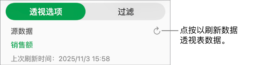 “透视选项”标签显示刷新数据透视表的选项。