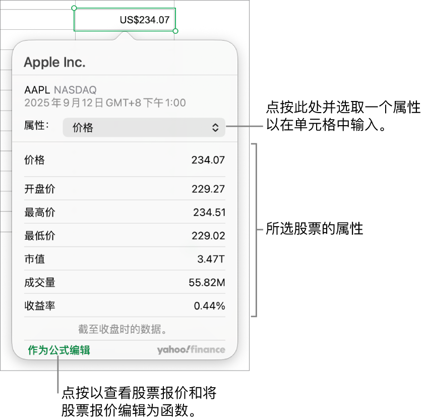 用于输入股票属性信息的对话框，Apple 为选定的股票。