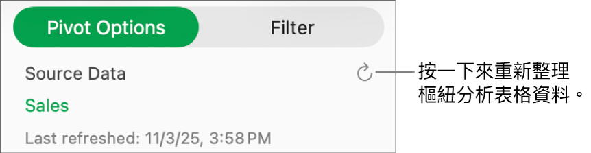 「樞紐分析選項」分頁顯示重新整理樞紐分析表格的選項。