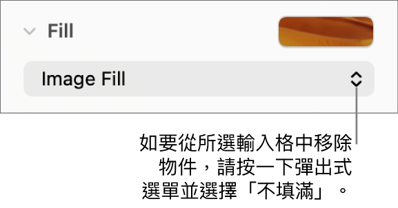 移除輸入格物件的控制項目。