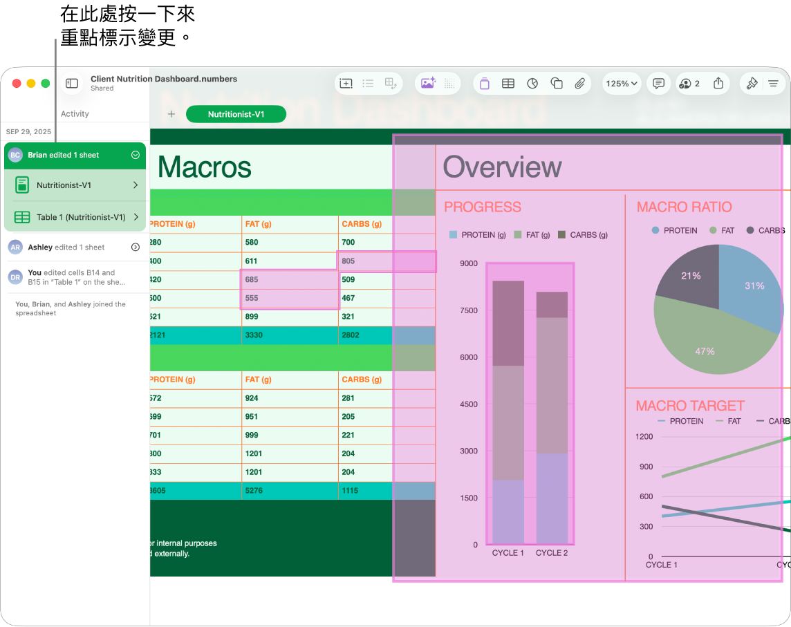 共同編輯試算表，其中共同編輯選單和活動列表都已開啟。