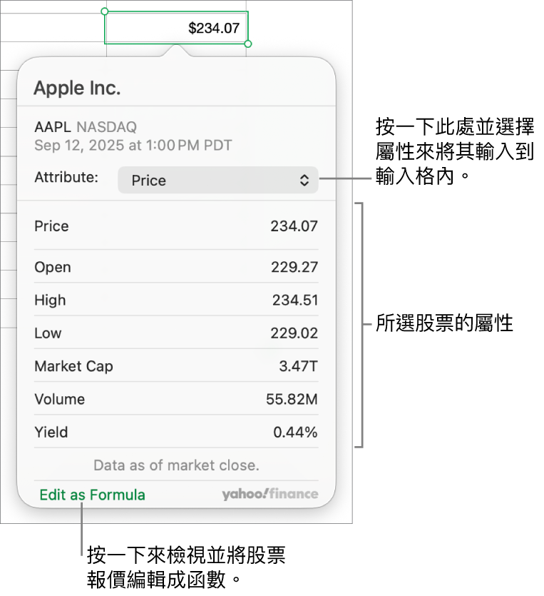 用於輸入股票屬性資料的對話框，使用 Apple 為選取的股票。