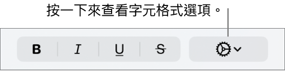 「粗體」、「斜體」、「底線」和「刪除線」按鈕旁邊的「進階選項」按鈕。