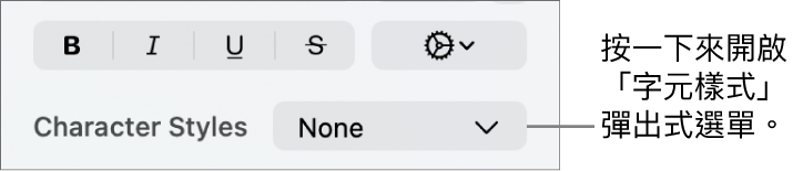 用於更改文字樣式和顏色的控制項目下方顯示「字元樣式」彈出式選單。