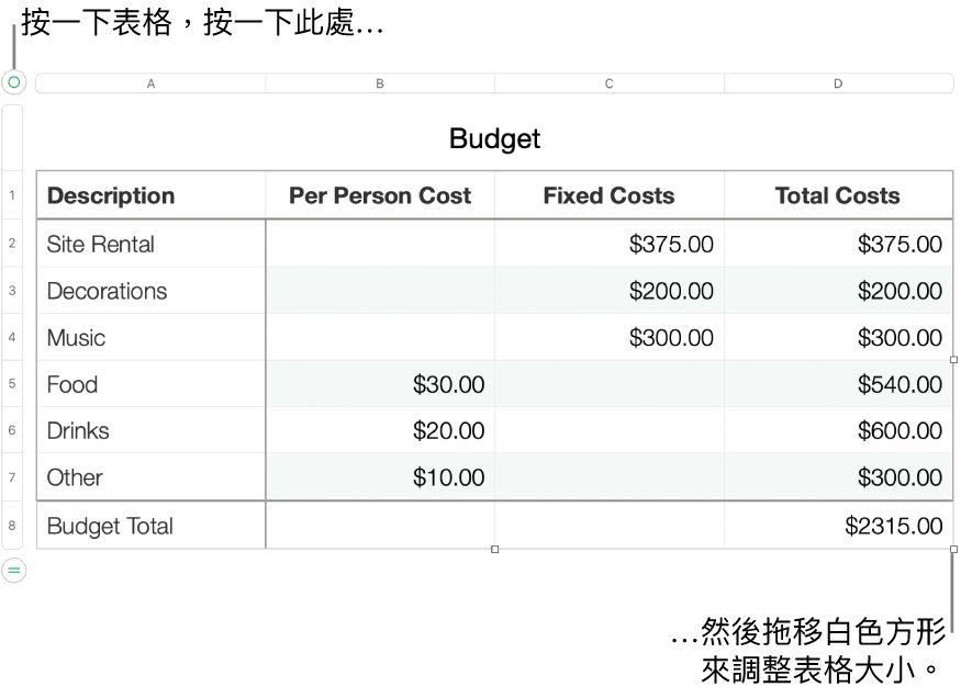 選取的表格,帶有調整大小的白色方形。