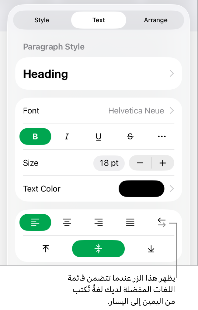 قسم النمط في قائمة التنسيق مع وسيلة شرح لزر "من اليمين إلى اليسار".