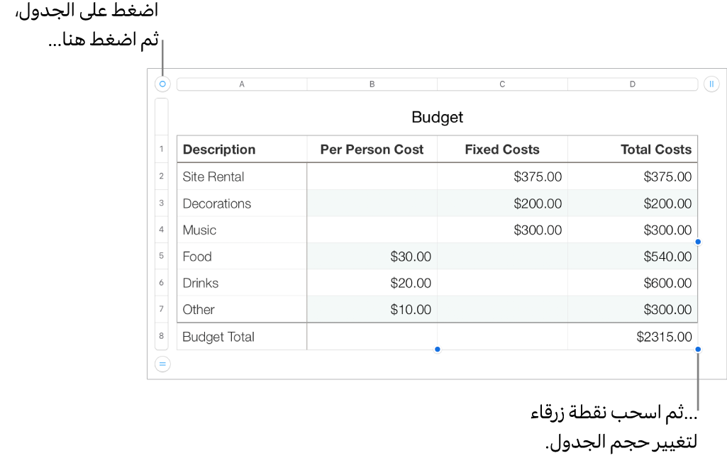 جدول محدد وبه نقاط زرقاء لتغيير الحجم.