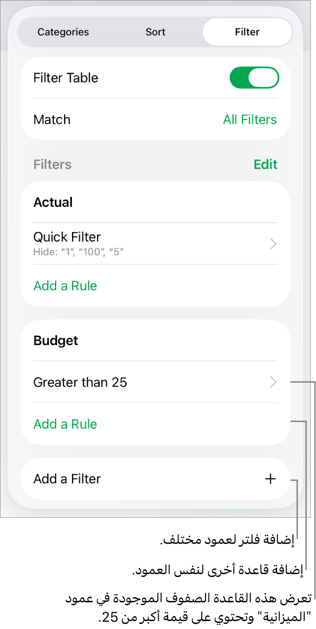 عناصر التحكم لإضافة قواعد تصفية جديدة أو تعديل القواعد الموجودة.
