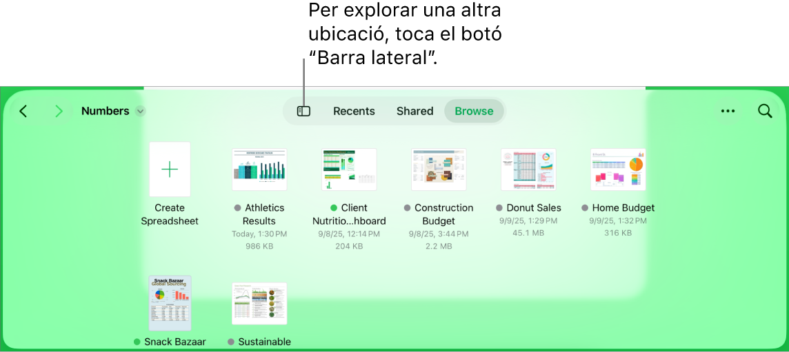Vista d’exploració del gestor de documents amb un enllaç d’ubicació a la cantonada superior esquerra i un camp de cerca a sota. A l’angle superior dret, hi ha el botó “Afegeix un full de càlcul”; el botó “Nova carpeta”; un menú desplegable per utilitzar la vista de llista o d’icones i per filtrar per nom, data, mida, tipus i etiqueta, i el botó “Selecciona”. A sota hi ha miniatures de fulls de càlcul existents.