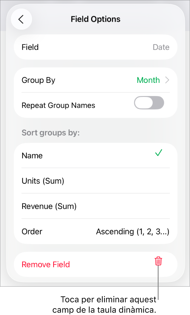 El menú “Opcions de camp”, que mostra els controls per agrupar i ordenar dades, a més de l’opció per eliminar un camp.