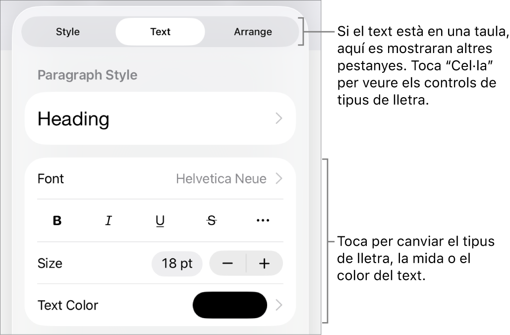 Controls de text al menú Format per definir els estils de paràgraf i de caràcter, el tipus de lletra, la mida i el color.