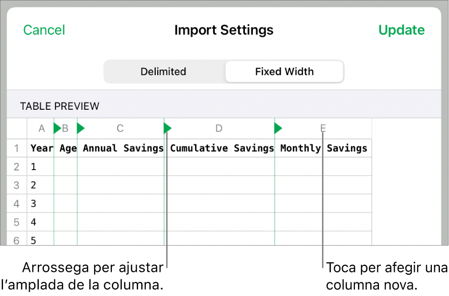 Els paràmetres d’importació d’un arxiu de text d’amplada fixa.