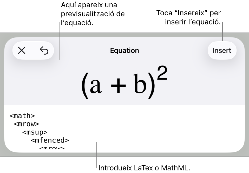 El quadre de diàleg Equació amb una equació escrita amb les ordres MathML i una previsualització de la fórmula al damunt.