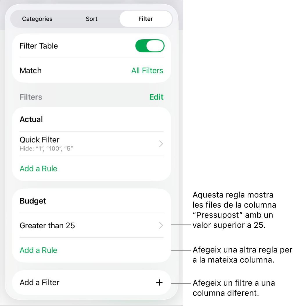 Controls per afegir noves regles de filtre o editar les regles existents.