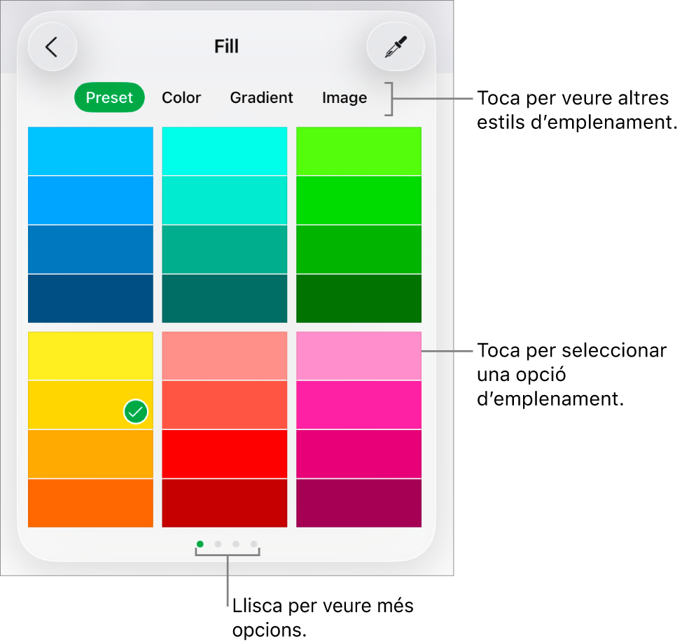 Opcions d’emplenament de la pestanya Estil del botó Format.