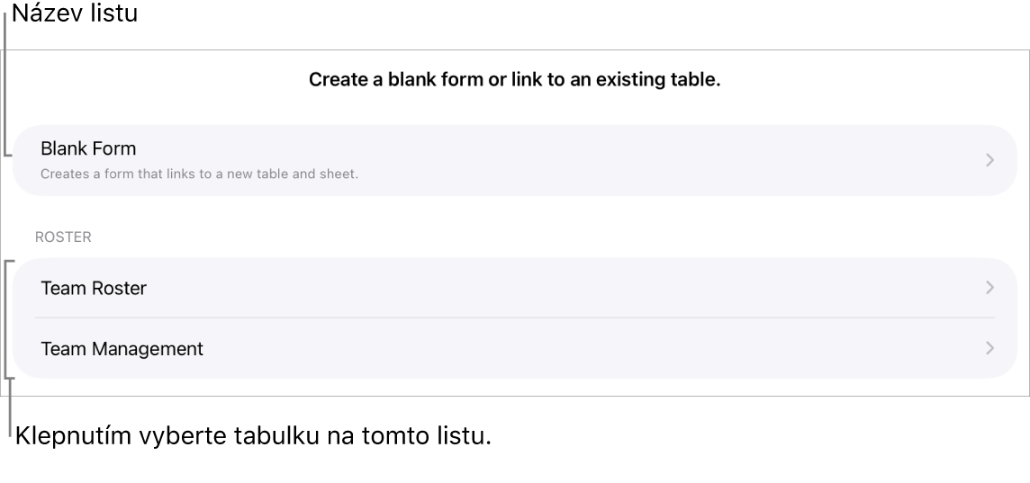 Seznam tabulek ze stejného tabulkového dokumentu, přičemž jako první je uvedena volba pro vytvoření prázdného formuláře