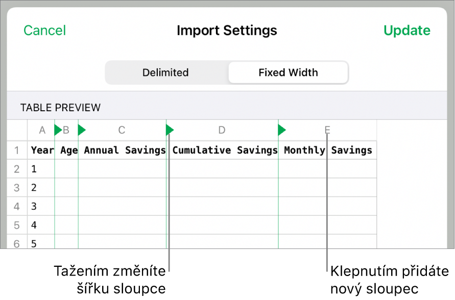Nastavení importu pro text s pevnou šířkou.