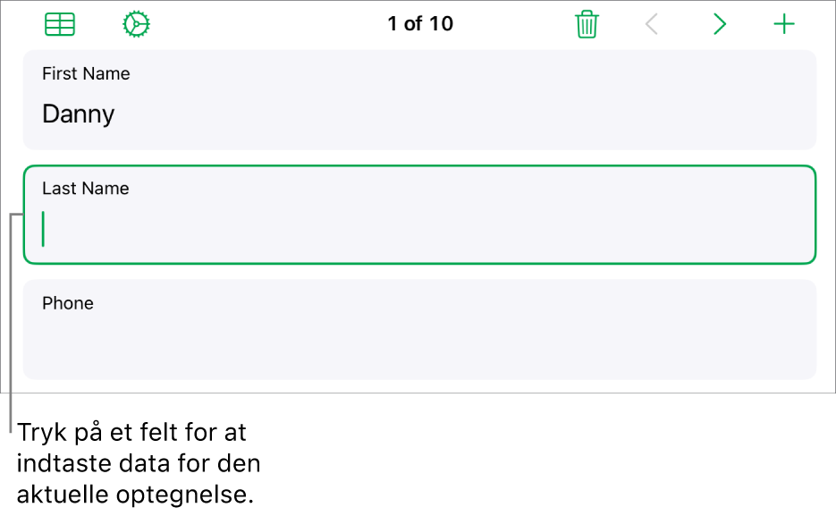 En optegnelse i en formular, der viser et aktivt felt med et indsætningsmærke.