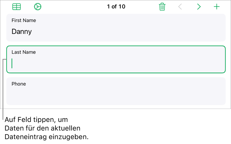 Ein Datensatz in einem Formular mit einem aktiven Feld und einer Einfügemarke.