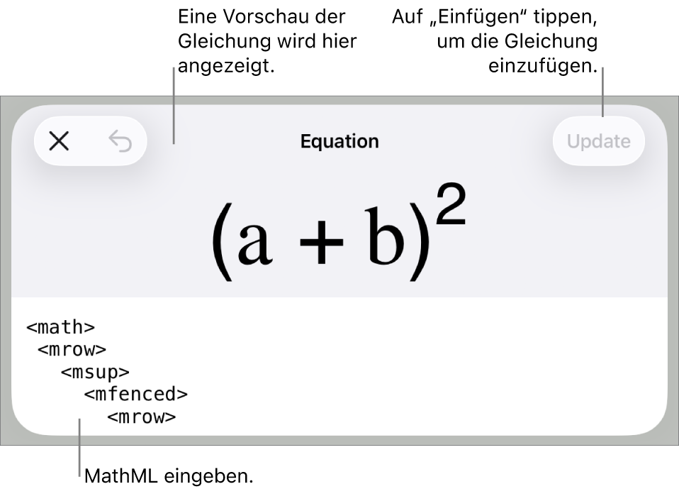 Im Dialogfenster „Gleichung“ wird eine Gleichung angezeigt, die mit MathML-Befehlen geschrieben wurde, darüber wird eine Vorschau der Formel angezeigt.