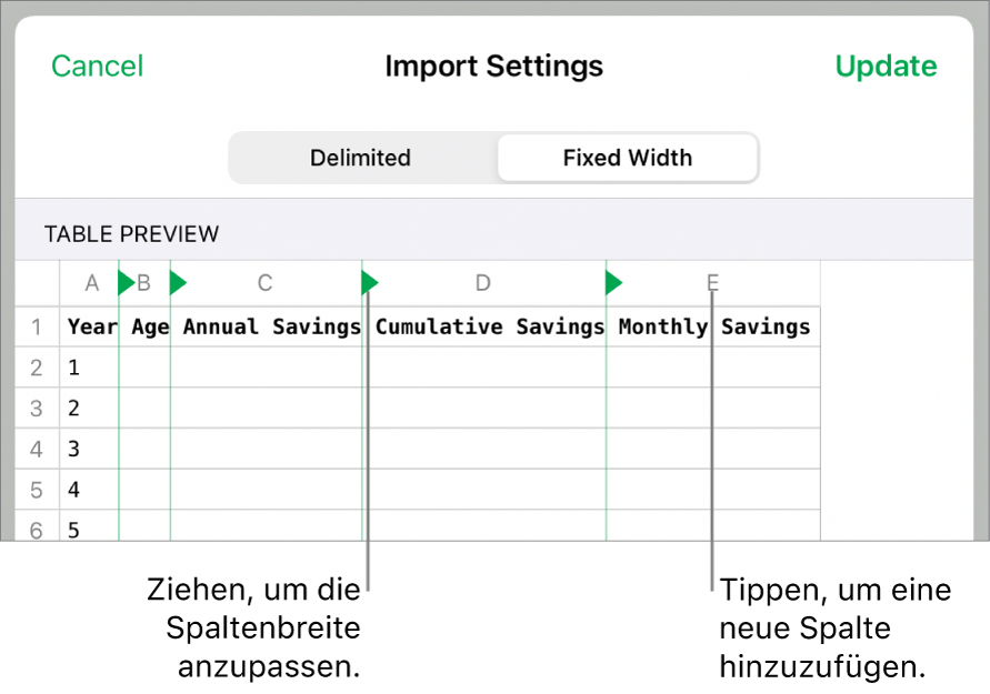 Die Importeinstellungen für eine Textdatei mit fester Breite.
