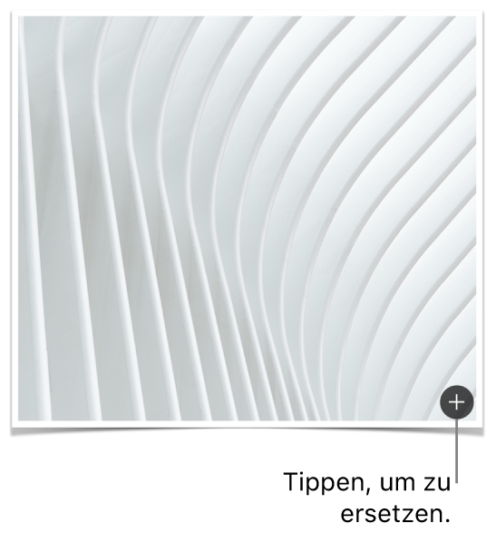 Ein Bild mit der Taste „Bild ersetzen“