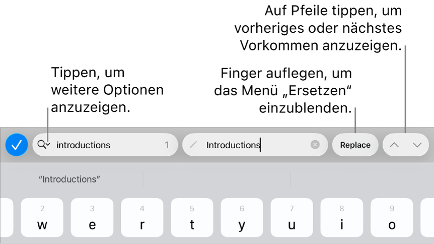 Die Steuerelemente „Suchen & Ersetzen“ über der Tastatur mit Beschreibungen zur Taste für Suchoptionen, zur Taste „Ersetzen“ und zu den Aufwärts- und Abwärts-Tasten.