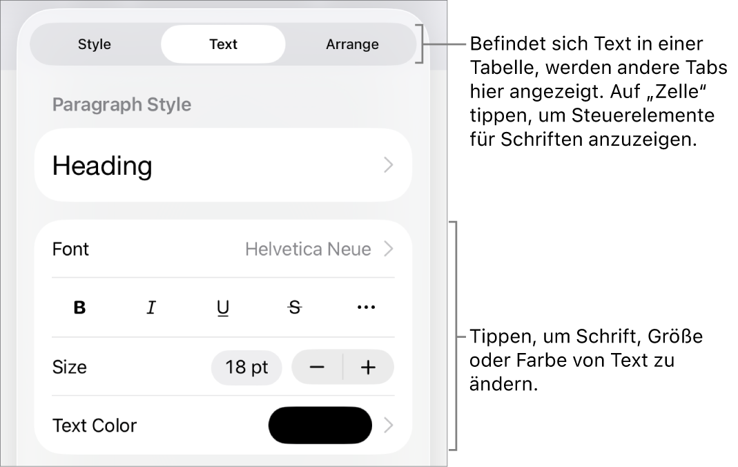 Textsteuerelemente im Menü „Format“ zum Festlegen von Absatz- und Zeichenstilen, Schrift, Größe und Farbe