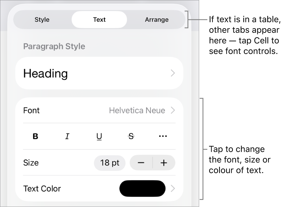 Text controls in the Format menu for setting paragraph and character styles, font, size and colour.