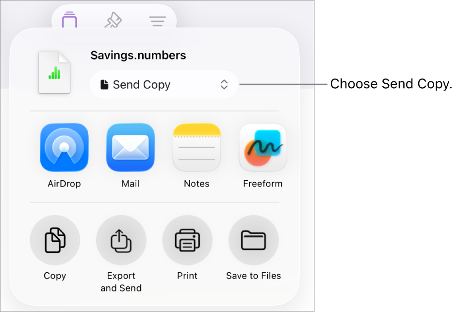 The Share menu with Send Copy selected at the top.