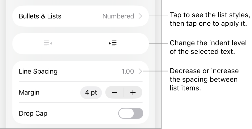 The Bullets & Lists section of the Format controls with callouts to Bullets & Lists, outdent and indent buttons, and line spacing controls.