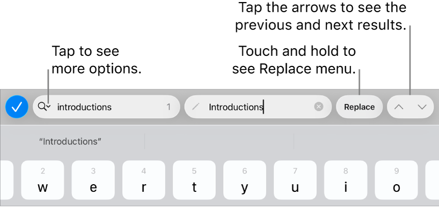 The Find & Replace controls above the keyboard with callouts to the Search Options, Replace, Go Up, and Go Down buttons.
