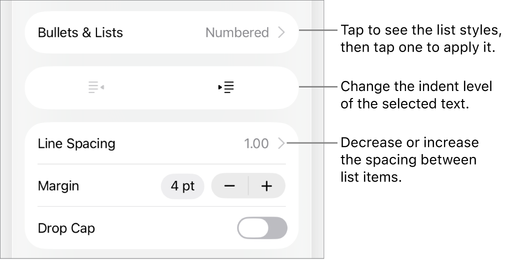 The Bullets & Lists section of the Format controls with callouts to Bullets & Lists, outdent and indent buttons, and line spacing controls.