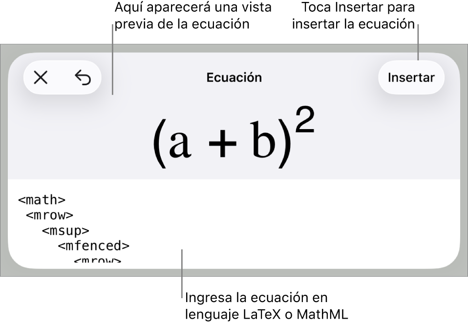 El cuadro de diálogo Ecuación con una ecuación escrita con comandos de MathML y una vista previa de la fórmula encima.