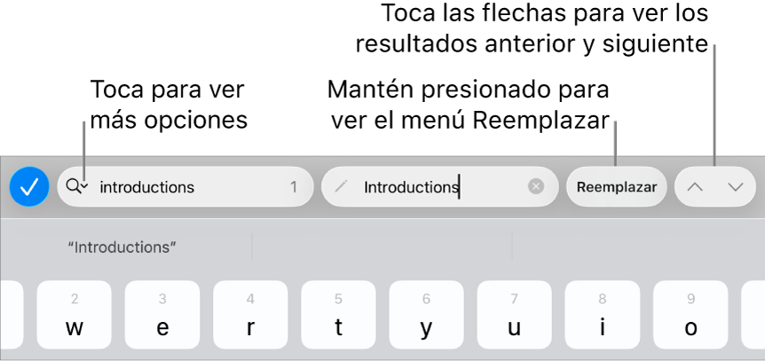 Los controles Buscar y Reemplazar arriba del teclado con mensajes en los botones Opciones de Búsqueda, Reemplazar, Subir y Bajar.