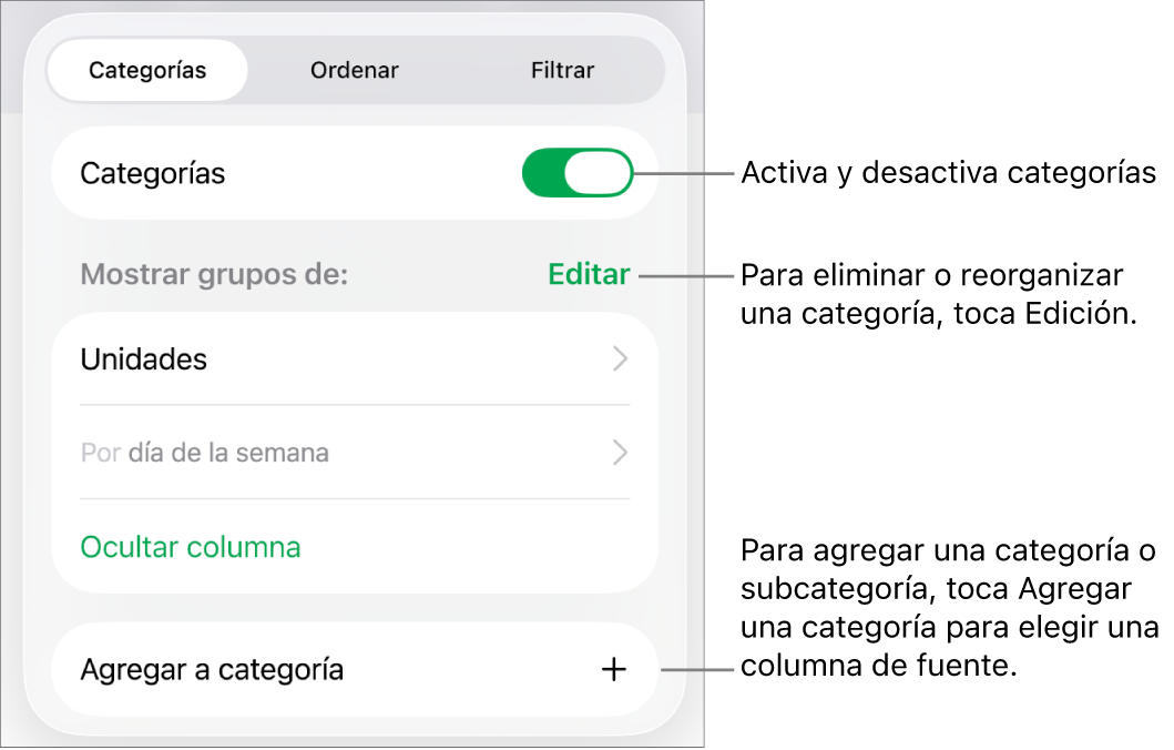 El menú Categorías del iPad con opciones para desactivar las categorías, eliminar categorías, reagrupar datos, ocultar una columna origen y agregar categorías.