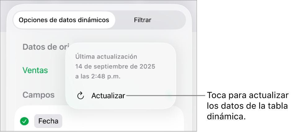 El menú Opciones de datos dinámicos mostrando la opción de actualizar la tabla dinámica.