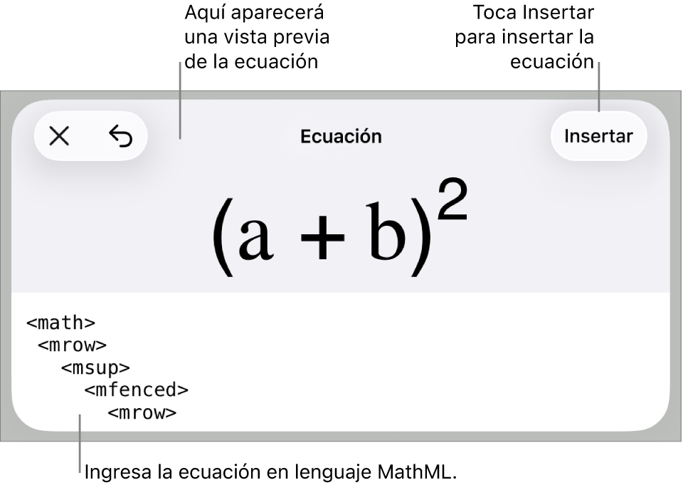 El cuadro de diálogo Ecuación con una ecuación escrita con comandos de MathML y una vista previa de la fórmula encima.