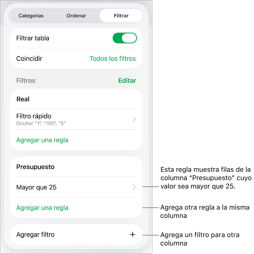 Controles para agregar nuevas reglas de filtrado o para editar las existentes.
