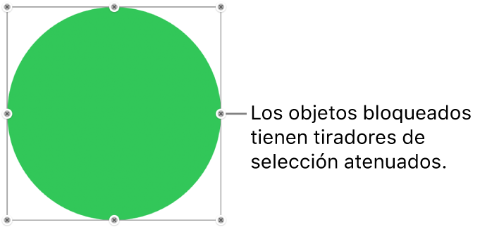Un objeto bloqueado con tiradores de selección atenuados.