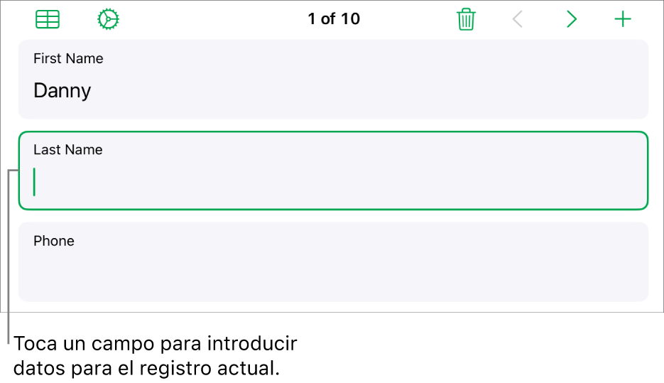 Un registro de un formulario, con un campo activo con un punto de inserción.