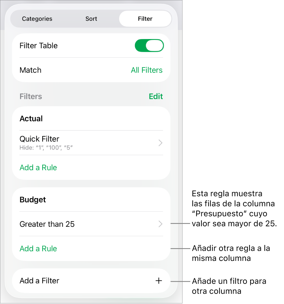 Controles para añadir reglas de filtro nuevas o editar las existentes.