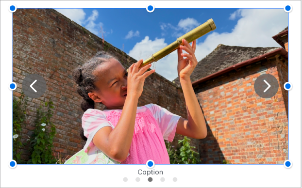 Un objeto de la galería de imágenes con cuatro imágenes; debajo aparece un pie de foto y hay flechas de navegación en los lados izquierdo y derecho de la imagen.