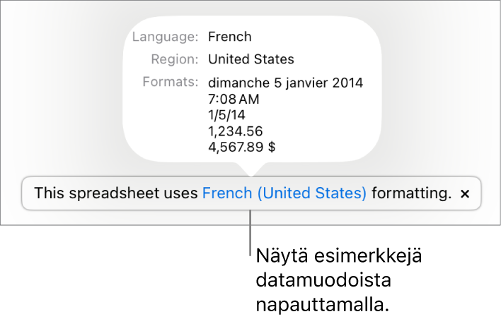 Eri kieli- ja alueasetuksen ilmoitus, jossa on esimerkkejä kyseisen kielen ja alueen muotoilusta.