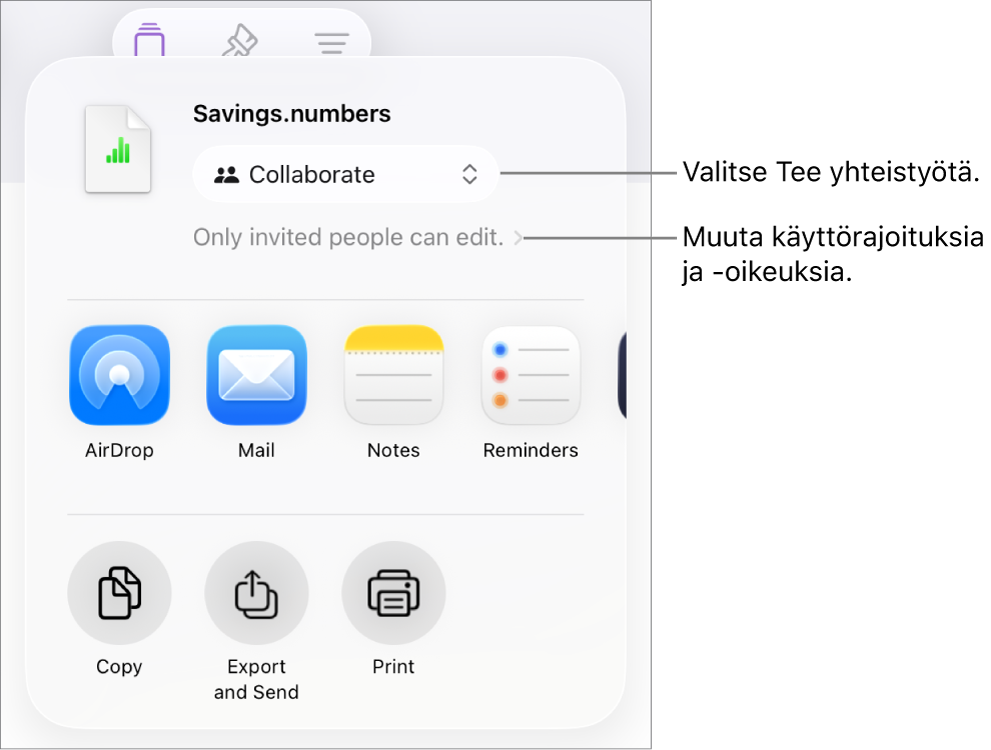 Jaa-valikko, jossa on ylhäällä valittuna Tee yhteistyötä, ja sen alla ovat käyttöoikeus- ja lupa-asetukset.