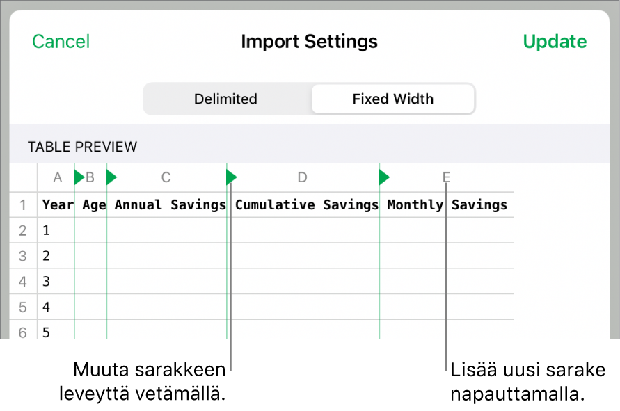 Kiinteän leveyden tekstitiedoston tuontiasetukset.